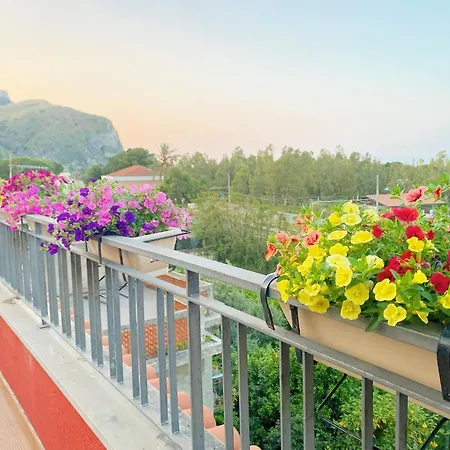 La Casa Di Rosa *