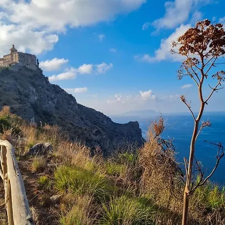 Апартаменты La Casa Di Rosa